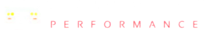 HM Motors Performance